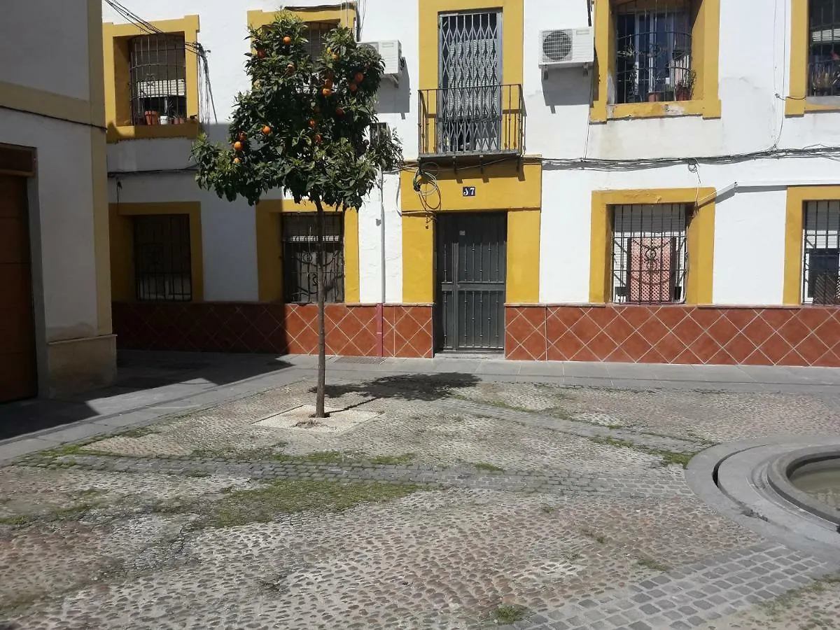 Apartment Resting In A Typical District Near Everything Hotel Cordoba