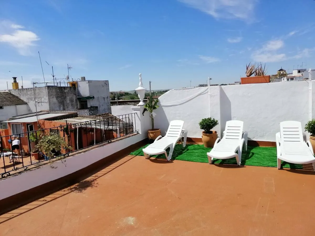 Resting In A Typical District Near Everything Hotel Cordoba Spain