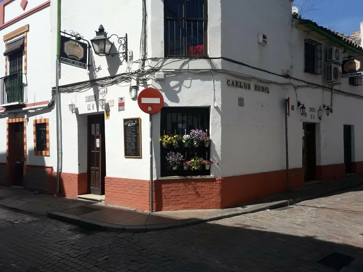 Resting In A Typical District Near Everything Hotel Córdoba
