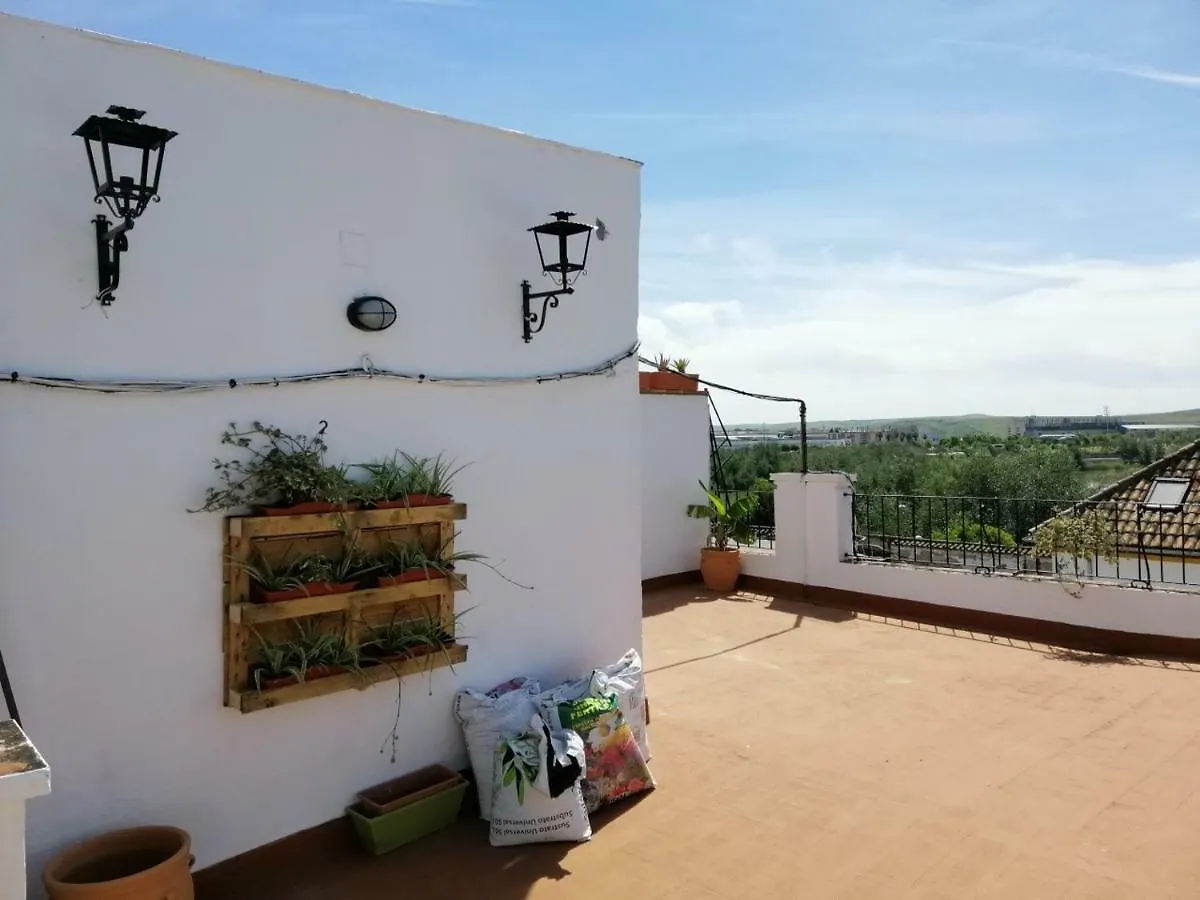 Resting In A Typical District Near Everything Hotel Córdoba Apartman